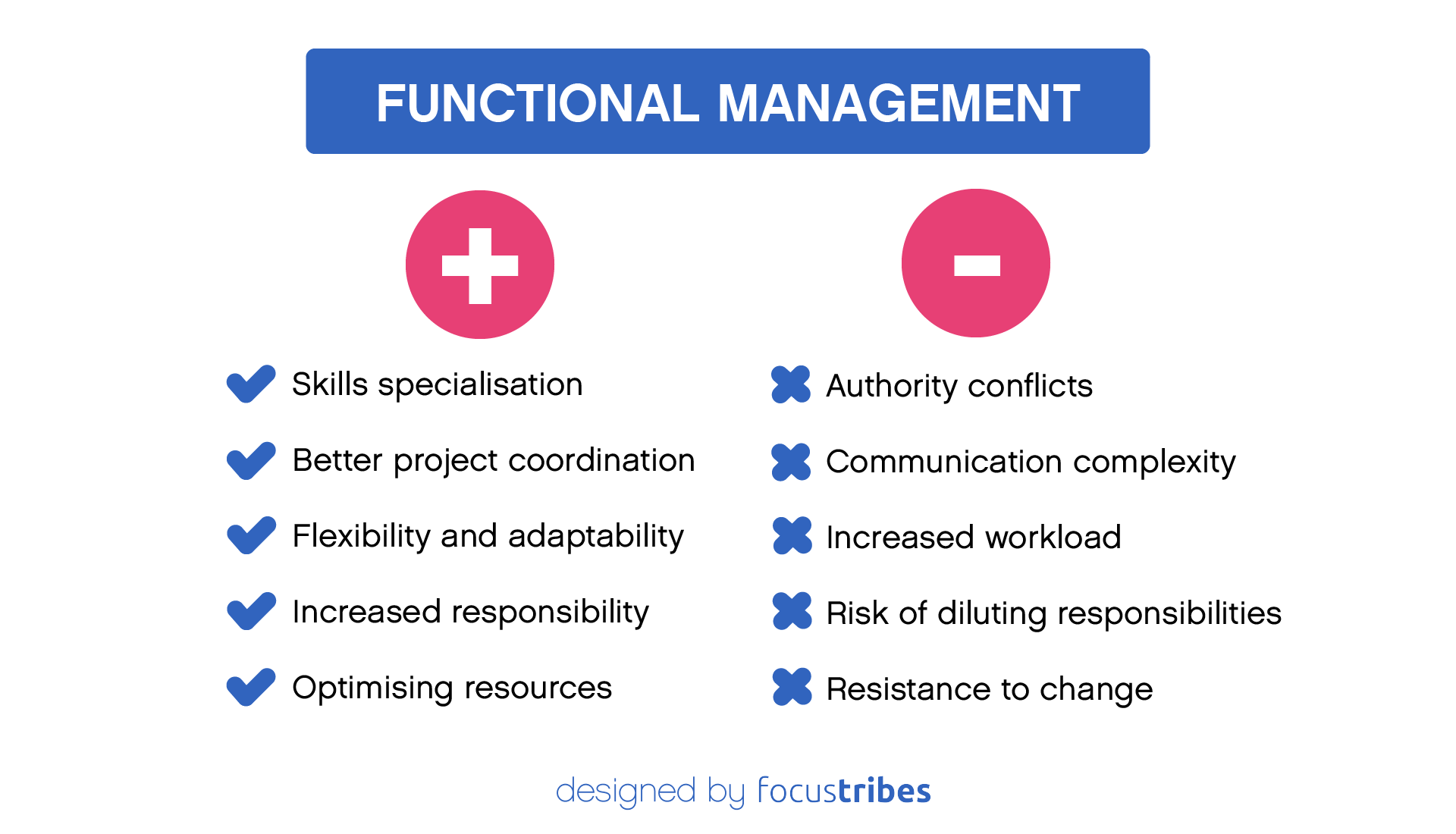 advantages and inconveniences of functional manager