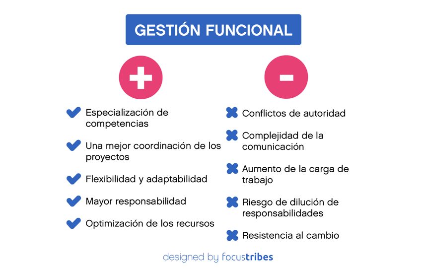 ventajas y desventajas de la gestion funcional