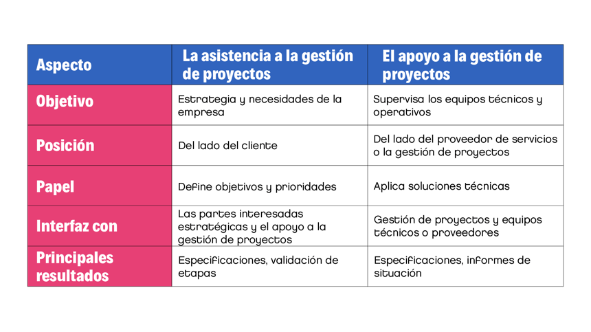 la asistencia a la gestion de proyectos y el apoyo a la gestion de proyectos