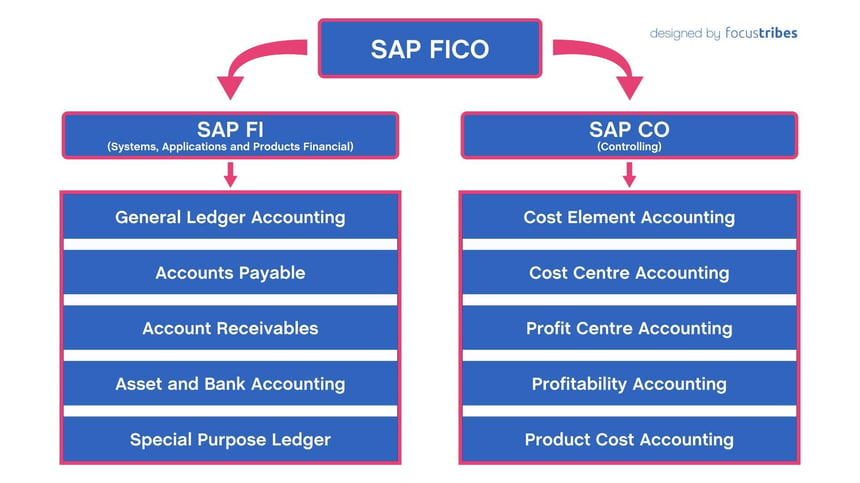 Module SAP FI et CO de l'ERP SAP