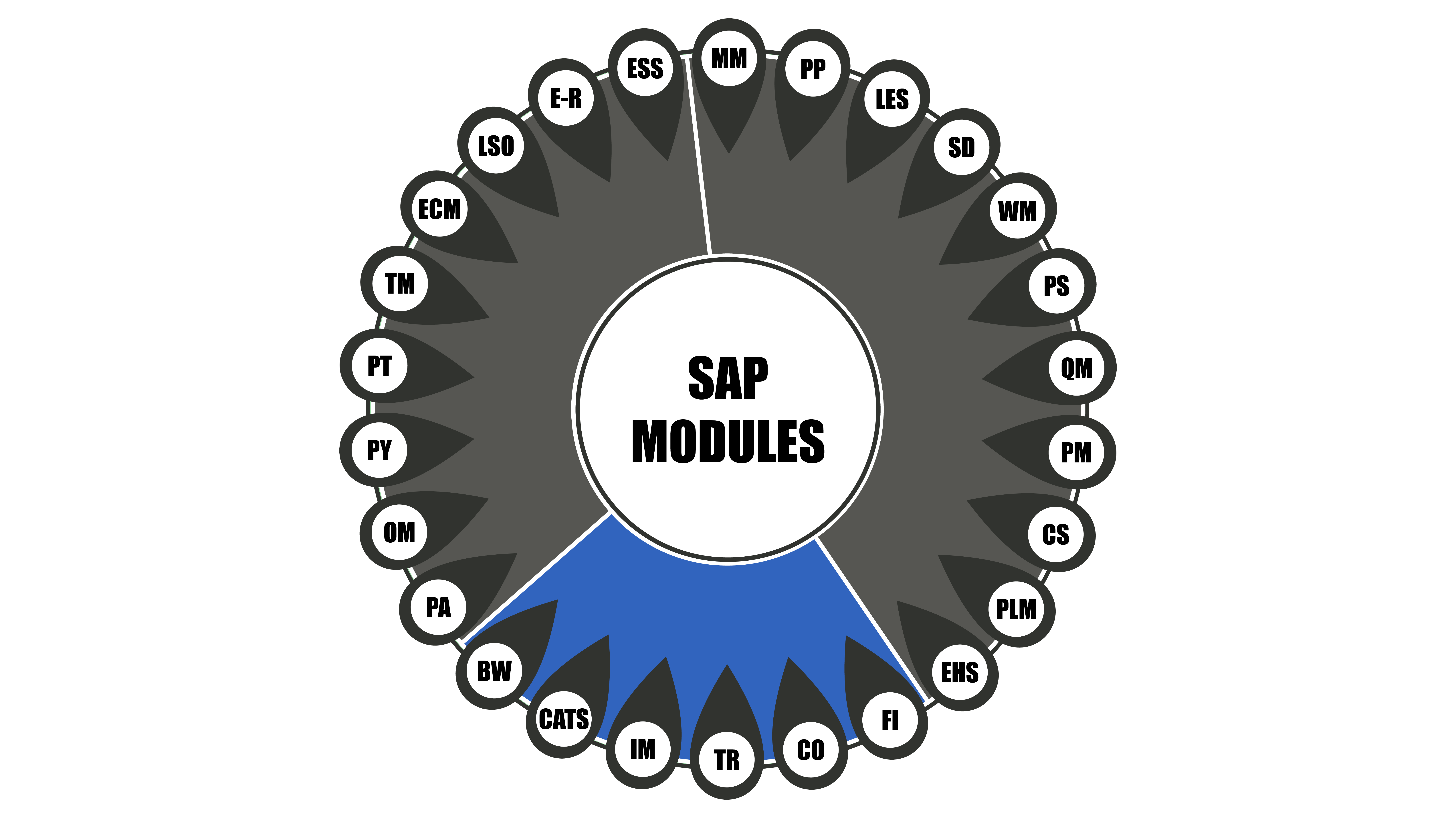 Infographie représentant les modules SAP de la famille finance