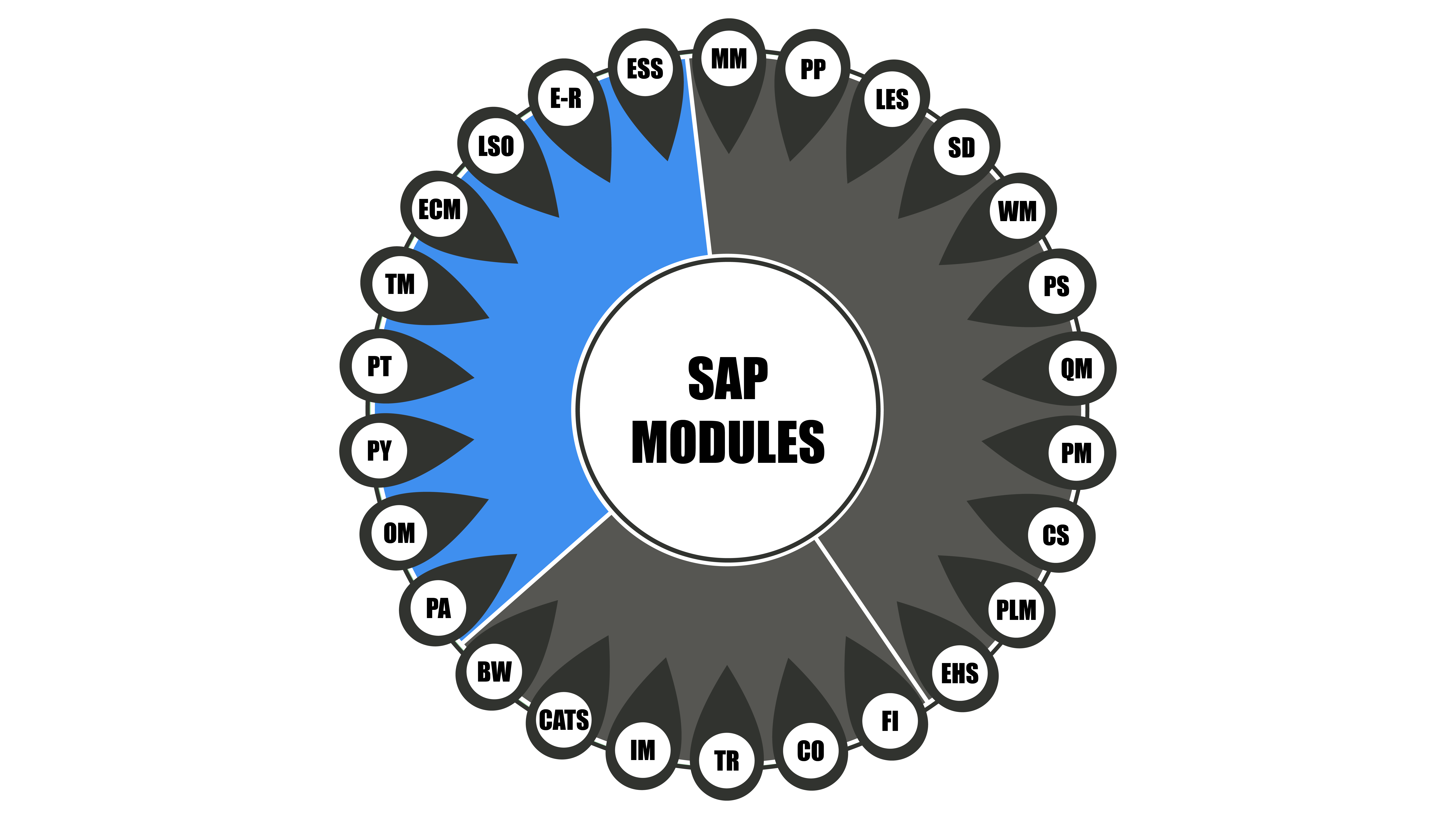 Infographie représentant les modules SAP de la famille ressources humaines