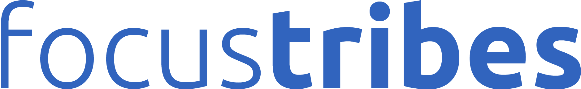 logo ft bleu-1