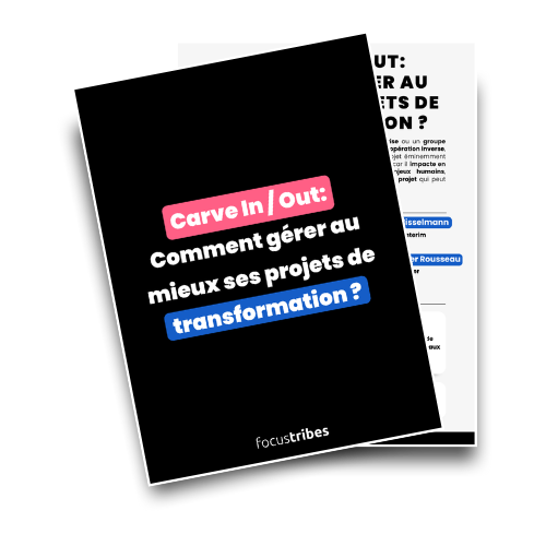 Ebook Carve In - Carve Out