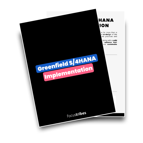 SAP S/4Hana Greenfield Implementation 