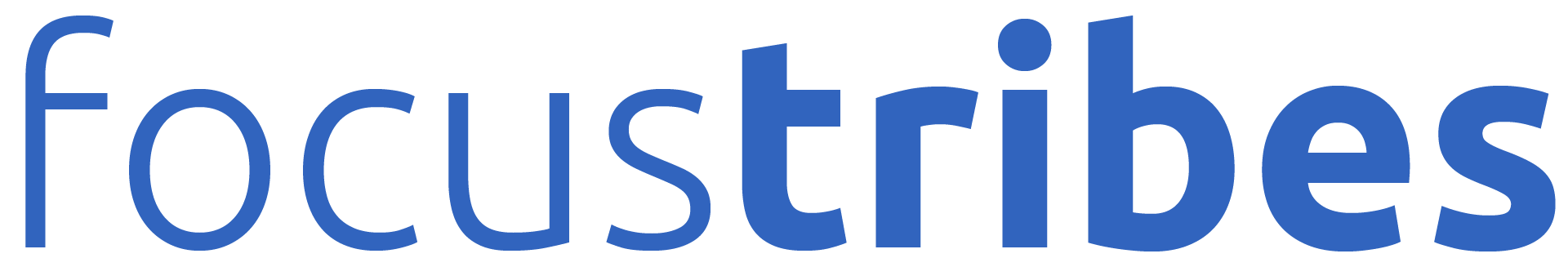 logo ft bleu-1